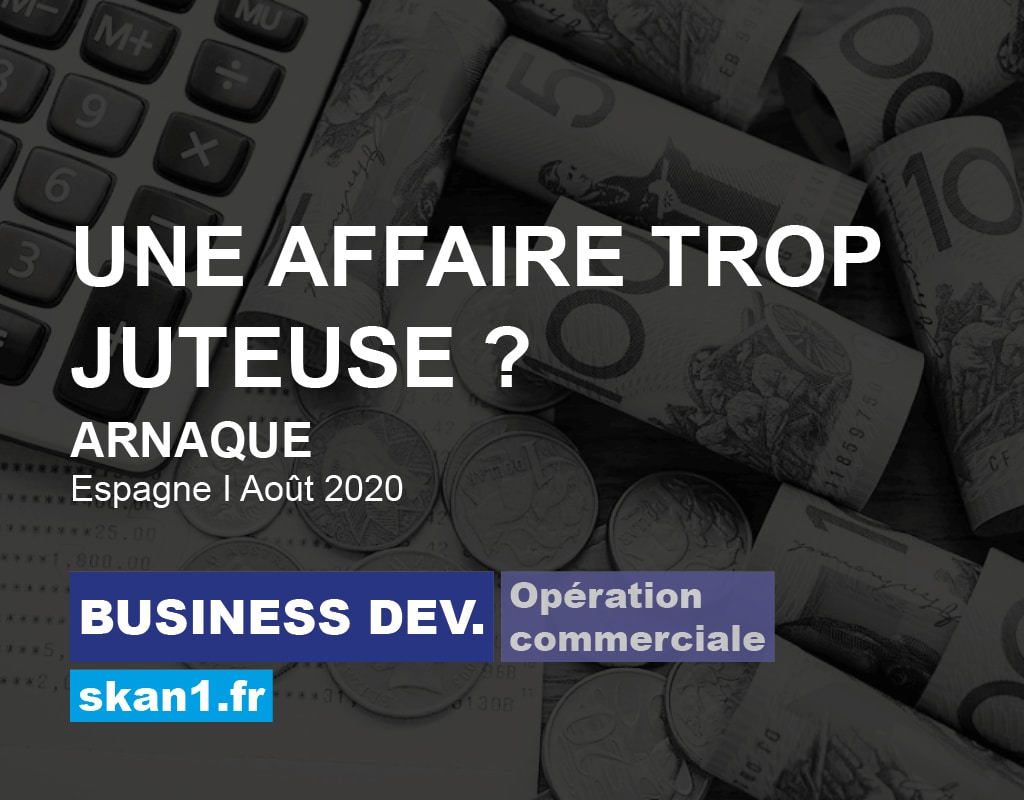 Exemple mission skan1 Evaluation Investigation Background Check Diligence Risque Integrite Conformite Ethique 015 Business Development Operation Commerciale Arnaque Affaire Trop Juteuse Espagne