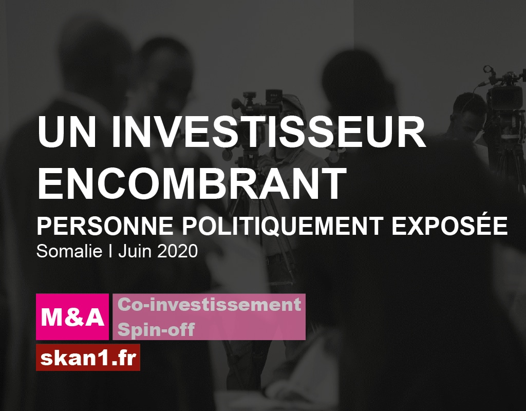 Exemple mission skan1 Evaluation Investigation Background Check Diligence Risque Integrite Conformite Ethique 013 M&A Investissement Spin Off Personne Politiquement Exposee Investisseur Encombrant Somalie