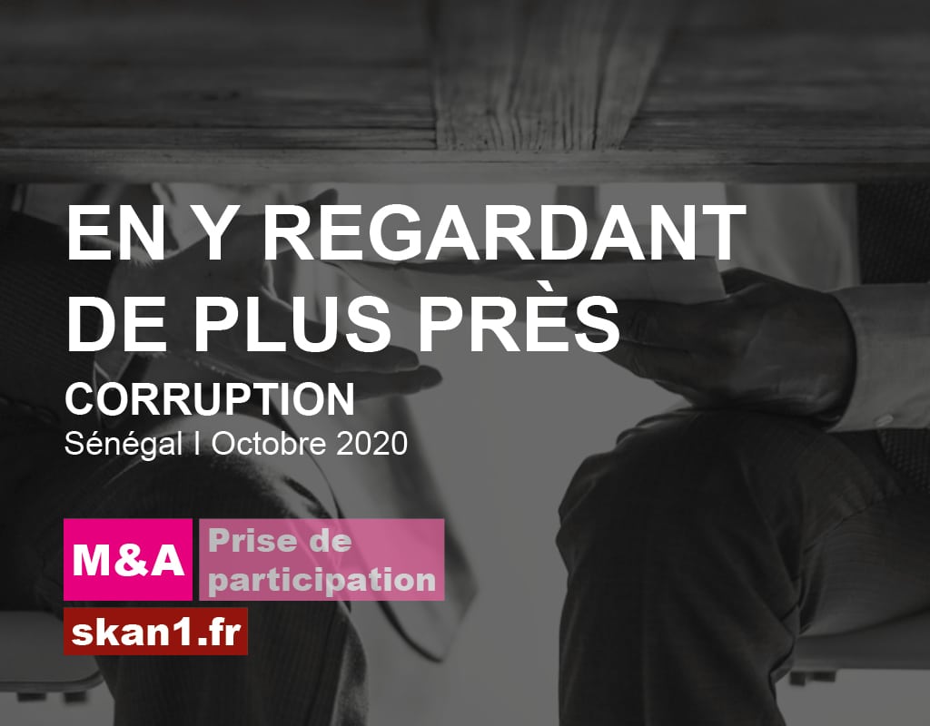 Exemple mission skan1 Evaluation Investigation Background Check Diligence Risque Integrite Conformite Ethique 017 M&A Prise Participation Corruption En Y Regardant Plus Pres Senegal