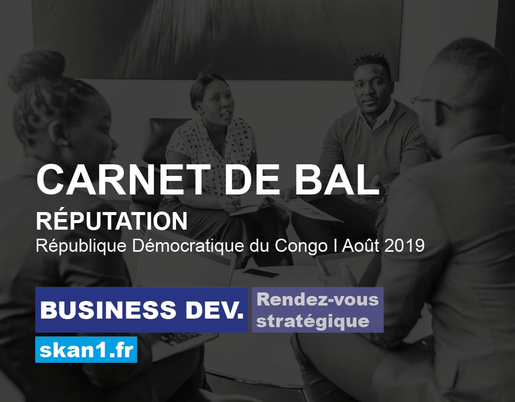 Exemple mission skan1 Evaluation Investigation Background Check Diligence Risque Integrite Conformite Ethique 03 Business Development Rendez Vous Strategique Reputation Carnet Bal Republique Democratique Congo