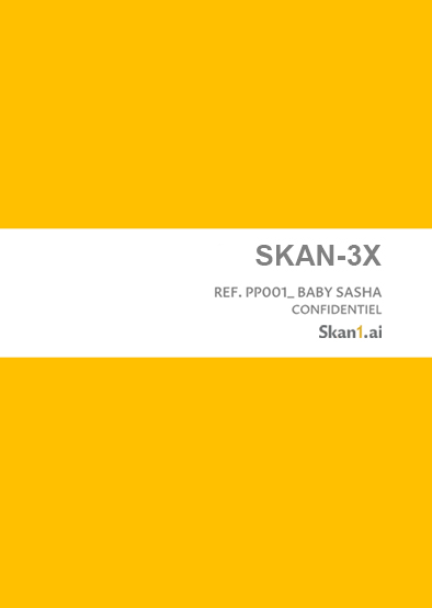 SKAN-3X assessment